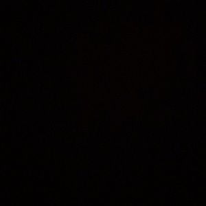 Meet your Posher, Isaac